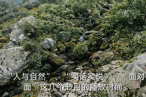 “人與自然”、“實話實說”、“面對面”這幾個節目的播放時間