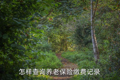 個人養老保險繳費明細,如何查個人養老保險繳費明細?