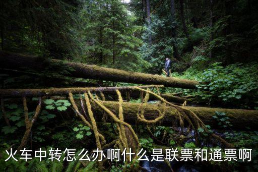 火車中轉怎么辦啊什么是聯票和通票啊