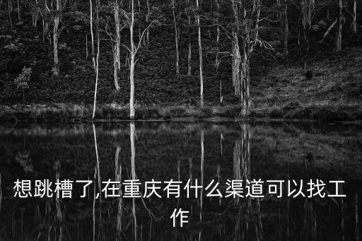 想跳槽了,在重慶有什么渠道可以找工作
