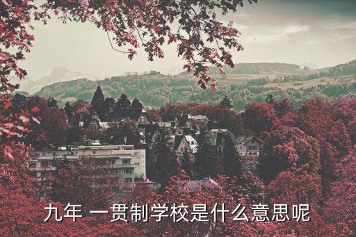 九年 一貫制學校是什么意思呢