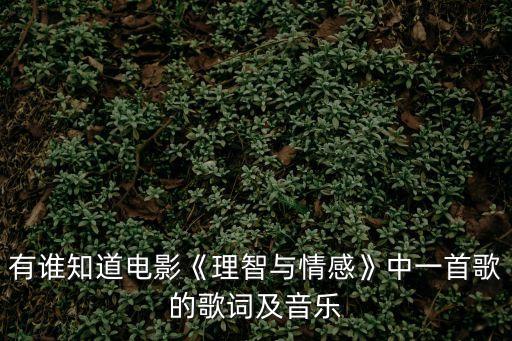 有誰(shuí)知道電影《理智與情感》中一首歌的歌詞及音樂(lè)