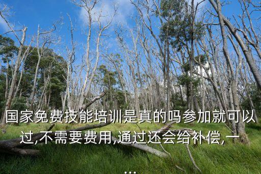 國家免費技能培訓是真的嗎參加就可以過,不需要費用,通過還會給補償,一...
