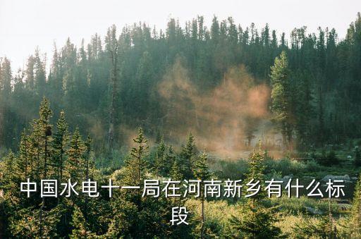  中國水電十一局在河南新鄉有什么標段