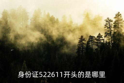 身份證522611開頭的是哪里
