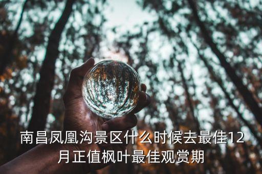  南昌鳳凰溝景區(qū)什么時(shí)候去最佳12月正值楓葉最佳觀賞期