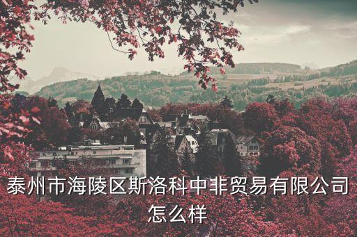泰州市海陵區斯洛科中非貿易有限公司怎么樣
