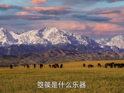 蘇州民族管弦樂團,江蘇省學校藝術教育工作先進集體弦樂隊演奏花好月圓