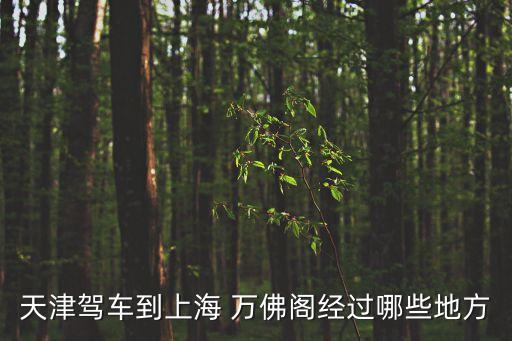 天津駕車到上海 萬佛閣經過哪些地方