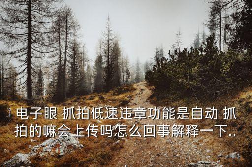 電子眼 抓拍低速違章功能是自動(dòng) 抓拍的嘛會(huì)上傳嗎怎么回事解釋一下...