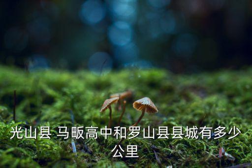 光山縣 馬畈高中和羅山縣縣城有多少公里