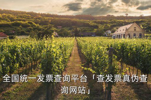 增值稅發(fā)票查驗平臺,稅務(wù)總局開發(fā)增值稅發(fā)票查驗平臺