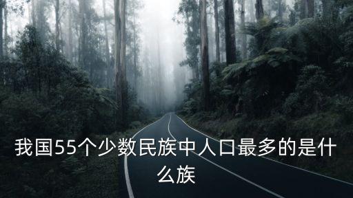 我國55個少數民族中人口最多的是什么族