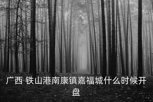 鐵山港,北海鐵山港億均耀能開工了嗎?