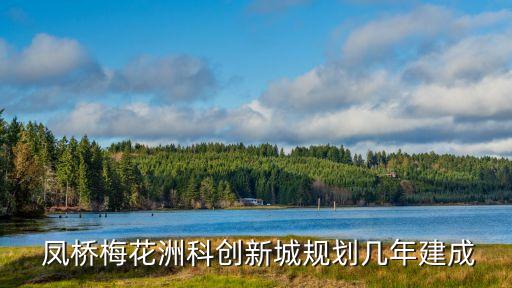  鳳橋梅花洲科創新城規劃幾年建成