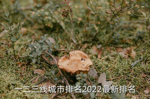 一二三線城市排名2022最新排名