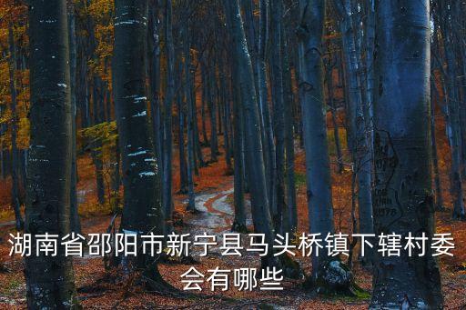 湖南省邵陽市新寧縣馬頭橋鎮(zhèn)下轄村委會有哪些