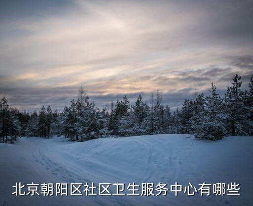 北京朝陽區社區衛生服務中心有哪些