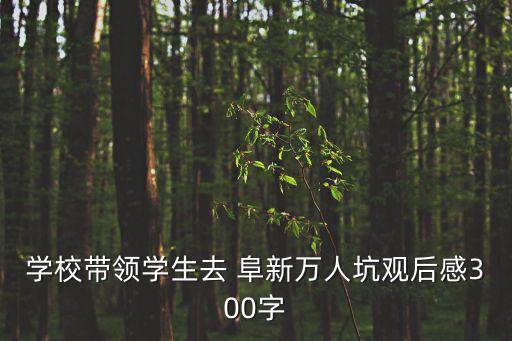學(xué)校帶領(lǐng)學(xué)生去 阜新萬人坑觀后感300字