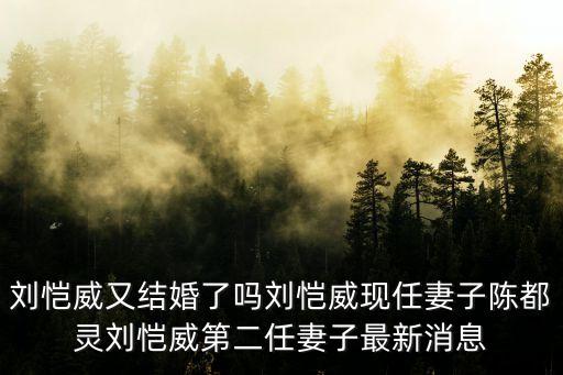 劉愷威又結婚了嗎劉愷威現任妻子陳都靈劉愷威第二任妻子最新消息