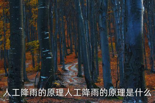 人工降雨的原理人工降雨的原理是什么