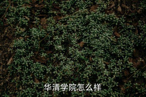 華清學(xué)院怎么樣