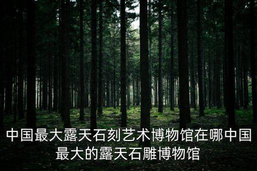 中國最大露天石刻藝術博物館在哪中國最大的露天石雕博物館