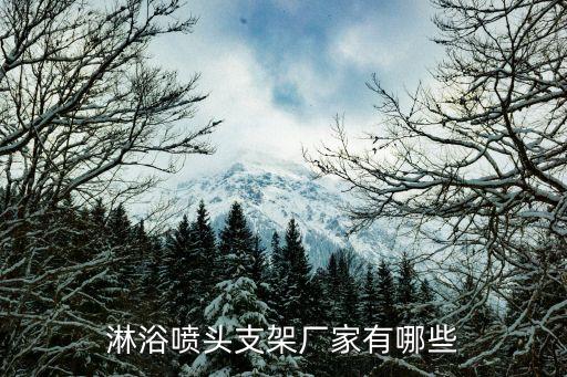 淋浴噴頭支架廠家有哪些