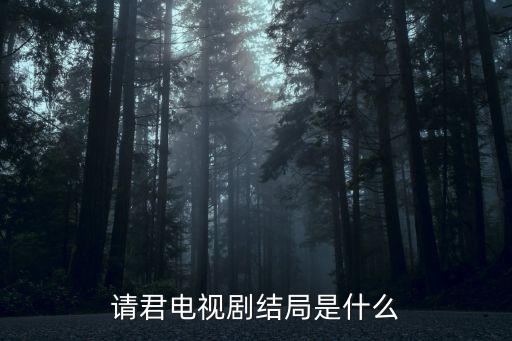 請君電視劇結局是什么