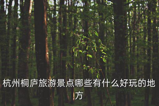 杭州桐廬旅游景點(diǎn)哪些有什么好玩的地方