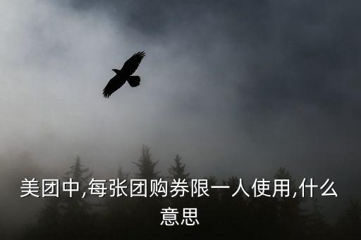 美團中,每張團購券限一人使用,什么意思