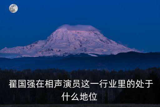  翟國強在相聲演員這一行業里的處于什么地位
