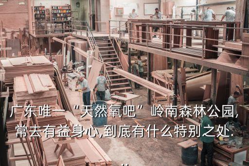 廣東唯一“天然氧吧”嶺南森林公園,常去有益身心,到底有什么特別之處...