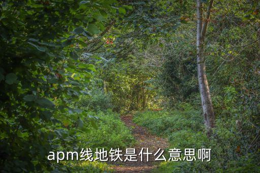 apm線地鐵是什么意思啊