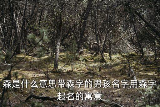 育森,林育森的人物點評:可悲又可喜