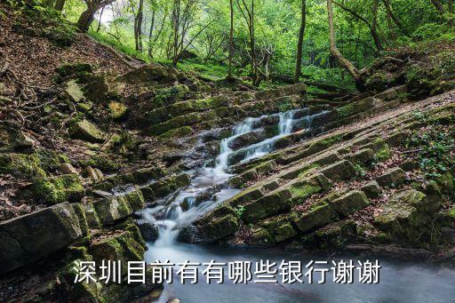 深圳目前有有哪些銀行謝謝