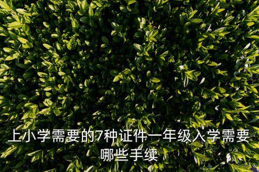 上小學需要的7種證件一年級入學需要哪些手續