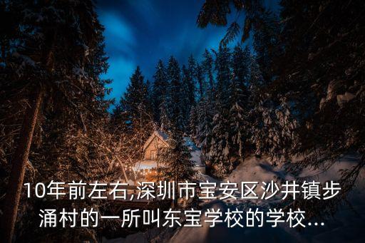 10年前左右,深圳市寶安區沙井鎮步涌村的一所叫東寶學校的學校...