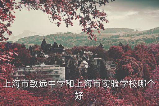 致遠實驗學校,懷集縣致遠實驗學校成績好會免學費嗎?