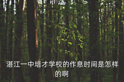  湛江一中培才學(xué)校的作息時(shí)間是怎樣的啊