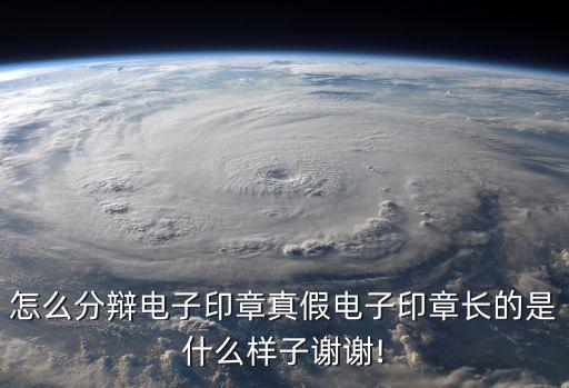 怎么分辯電子印章真假電子印章長的是什么樣子謝謝!