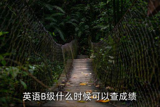 高等學校英語應用能力考試成績查詢,高等學校英語應用能力考試是什么?