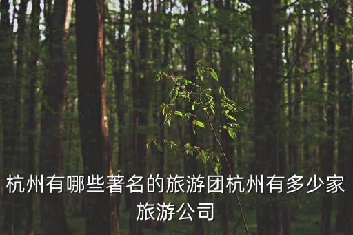 杭州有哪些著名的旅游團杭州有多少家旅游公司