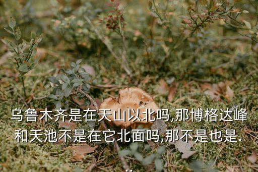 烏魯木齊是在天山以北嗎,那博格達峰和天池不是在它北面嗎,那不是也是...