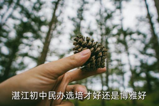 湛江初中民辦選培才好還是博雅好