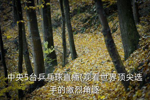 中央5臺(tái)乒乓球直播(觀看世界頂尖選手的激烈角逐