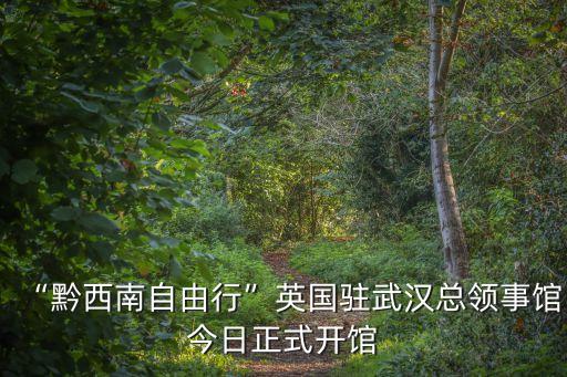 英國大使館,英國駐武漢總領事館今天正式開館