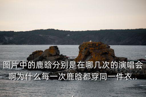 圖片中的鹿晗分別是在哪幾次的演唱會(huì)啊為什么每一次鹿晗都穿同一件衣...