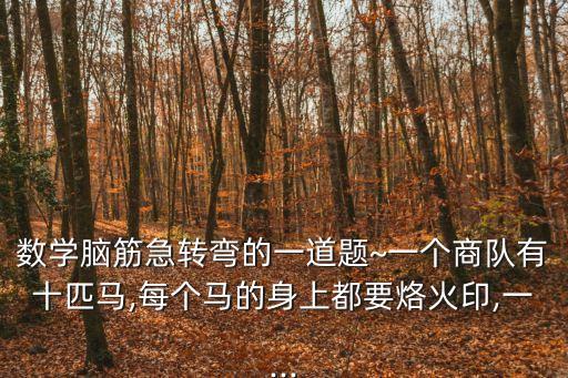 數(shù)學(xué)腦筋急轉(zhuǎn)彎的一道題~一個商隊有十匹馬,每個馬的身上都要烙火印,一...