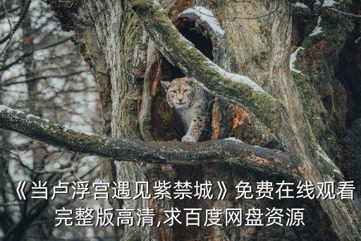 《當(dāng)盧浮宮遇見紫禁城》免費在線觀看完整版高清,求百度網(wǎng)盤資源